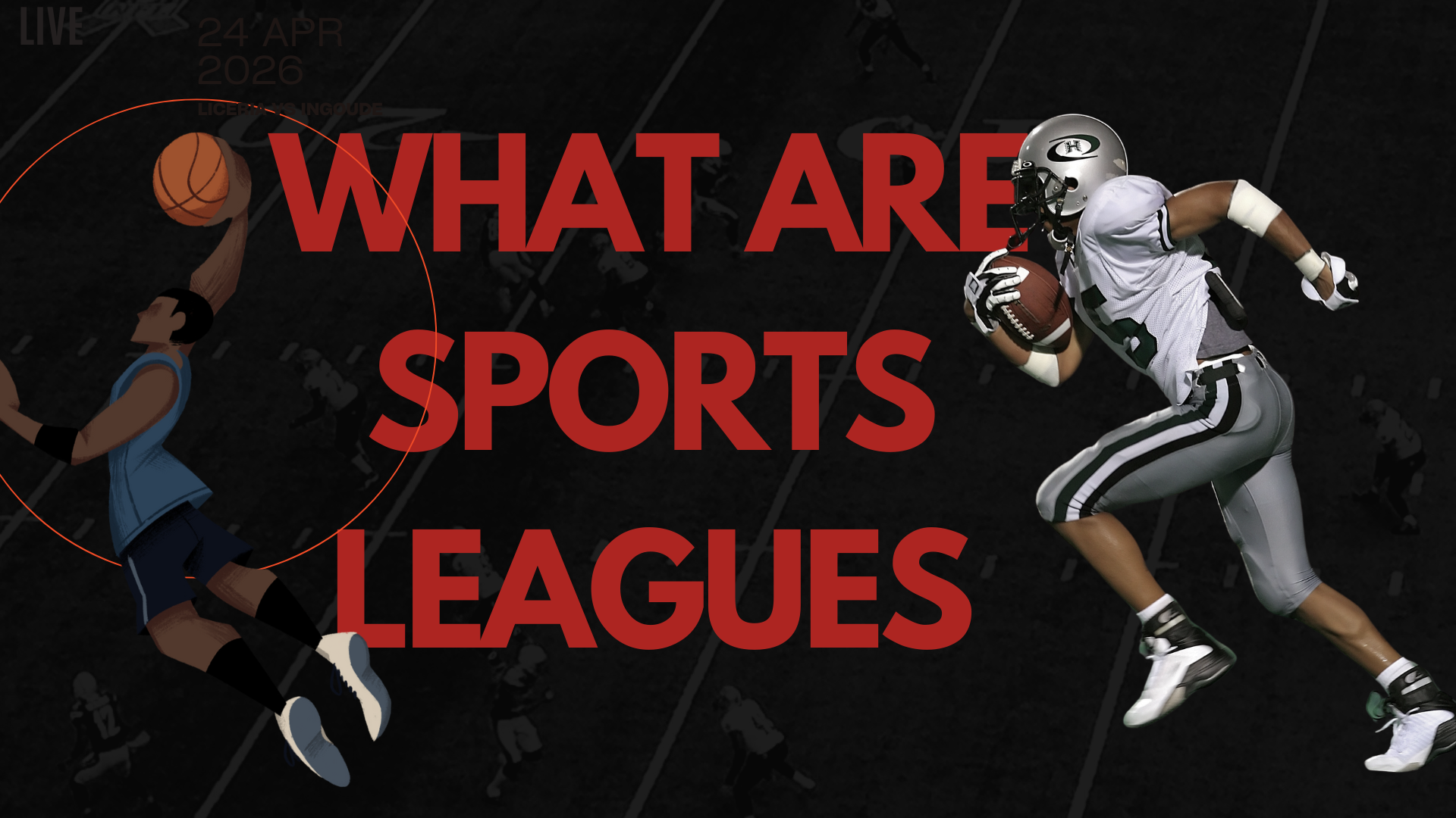 What are sports leagues